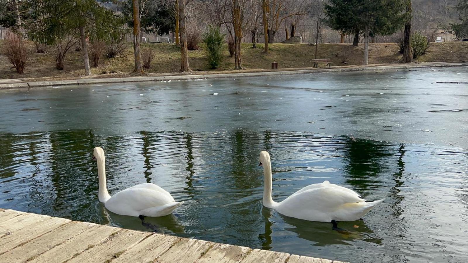 Apartament Del Llac 오세야 외부 사진